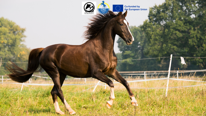 Progetto Equest